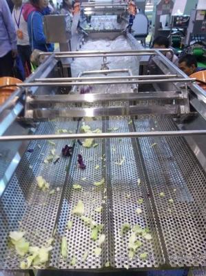 天翔直銷土豆 山芋 山藥等清洗去皮機 質量優(yōu) 效果好