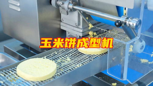 玉米餅成型機(jī)多功能肉餅蔬菜餅加工設(shè)備