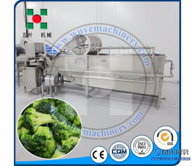 【五葉機(jī)械速凍西蘭花生產(chǎn)線甘藍(lán)菜加工機(jī)械蔬菜前處理菠菜蘆筍清洗線ydsTX
