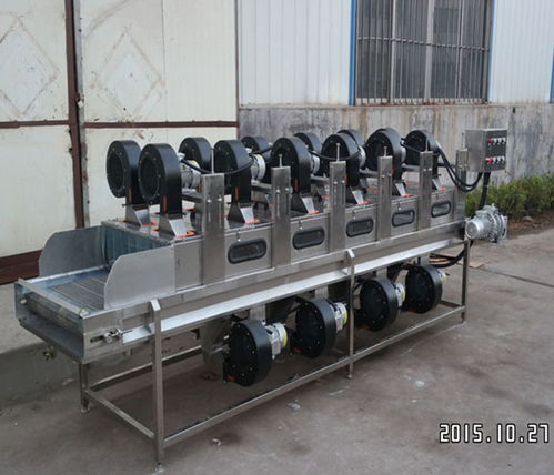 嘉信工業(yè) 吉林西藍(lán)花清洗風(fēng)干加工設(shè)備