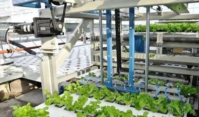蔬菜無人種植工廠 農(nóng)業(yè)自動化的革命與挑戰(zhàn)