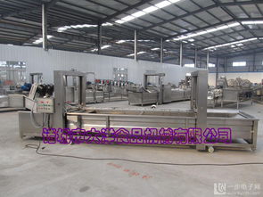 專業(yè)蔬菜加工機(jī)械 氣泡原理洗菜機(jī)的高效潔凈之道