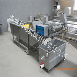 多功能蔬菜清洗機(jī) 高壓噴淋技術(shù)與利德清洗機(jī)在蔬菜加工機(jī)械中的應(yīng)用與價(jià)值