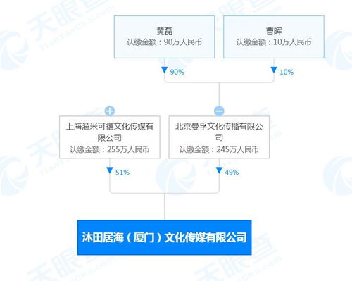 廣播電視節(jié)目制作經(jīng)營 創(chuàng)意與管理的藝術